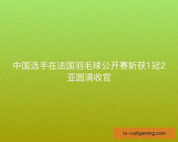 中国选手在法国羽毛球公开赛斩获1冠2亚圆满收官