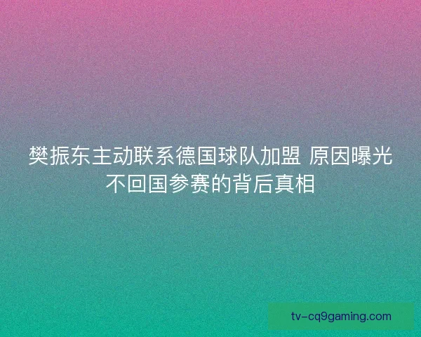 樊振东主动联系德国球队加盟 原因曝光不回国参赛的背后真相